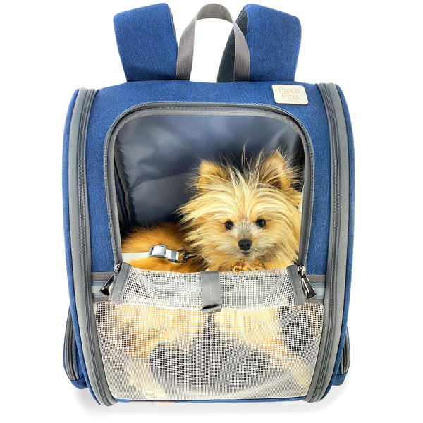 Load image into Gallery viewer, Cute fluffy dog lying down inside Navy Blue Pipco Pet Backpack Carrier with front mesh panel rolled down