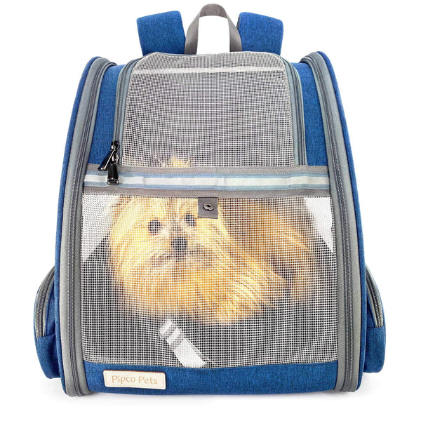 Load image into Gallery viewer, Small fluffy dog curled up inside Navy Blue Pipco Pet Backpack Carrier with mesh panels zipped up.