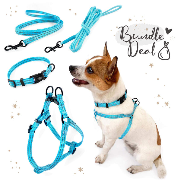 Load image into Gallery viewer, Pipco SuperLite bundle deal in blue including matching lightweight harness, collar, flat lead and rope lead, modelled by small dog