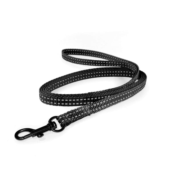 Load image into Gallery viewer, Lightweight Pipco flat lead in black for small dogs and puppies