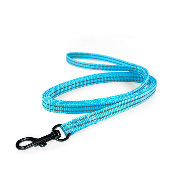 Load image into Gallery viewer, Lightweight Pipco flat lead in blue for small dogs and puppies