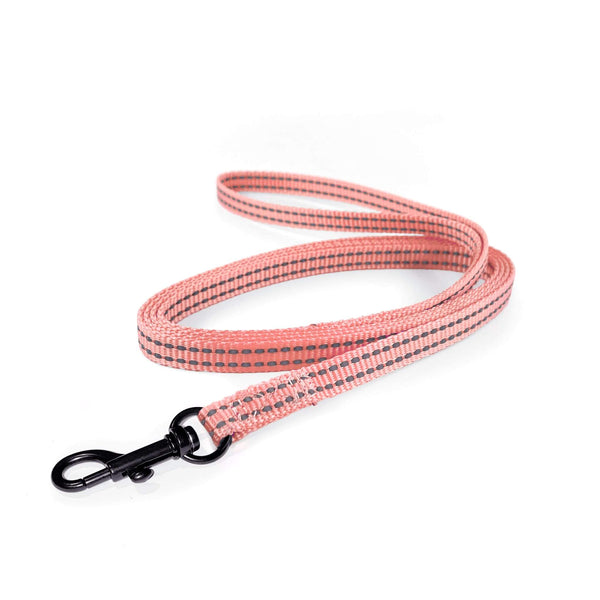 Load image into Gallery viewer, Lightweight Pipco flat lead in pink for small dogs and puppies