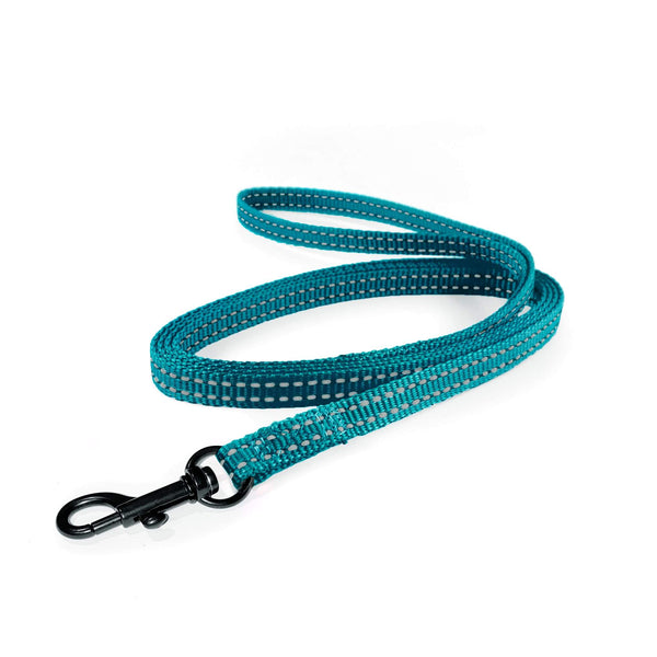Load image into Gallery viewer, Lightweight Pipco flat lead in teal for small dogs and puppies