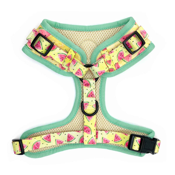 Load image into Gallery viewer, Back view of Pipco Pets adjustable dog harness with Summer Melons watermelon print pattern in yellow