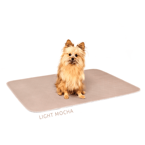 Load image into Gallery viewer, Cute pomeranian dog sitting on light brown Pipco Pets washable pee pad