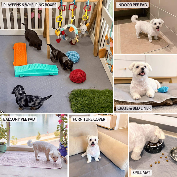 Load image into Gallery viewer, Collage of images showing Pipco reusable pee pads being used for whelping box, indoor potty pad, crate liner, balcony pee pad, furniture cover, and food bowl spill mat