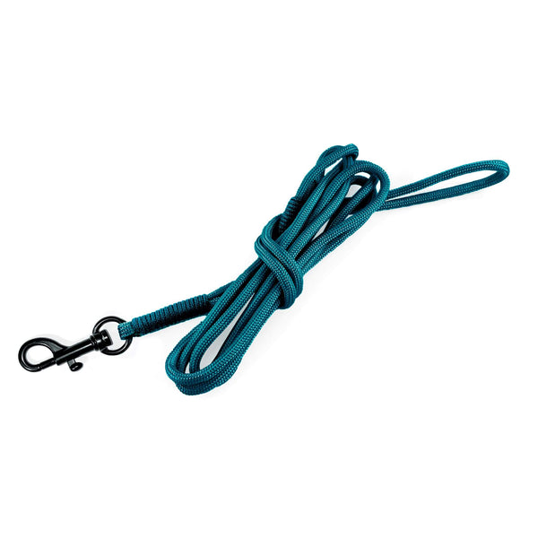 Load image into Gallery viewer, Lightweight Pipco paracord rope lead in teal for small dogs and puppies