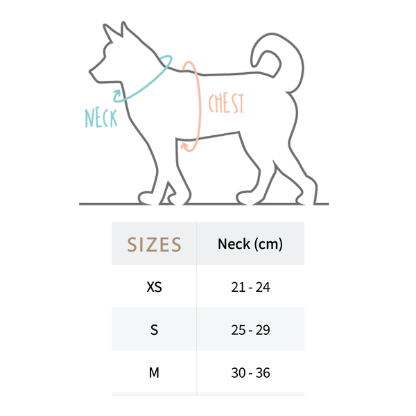 Load image into Gallery viewer, Size chart for Pipco Pets dog collars