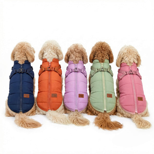 Load image into Gallery viewer, Five dogs wearing puffer jackets with built-in harness in navy, orange, lilac, sage, and pink