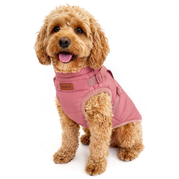 Load image into Gallery viewer, Dog wearing dusty pink vest jacket with built-in harness by Pipco Pets