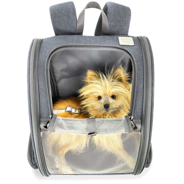 Load image into Gallery viewer, Cute fluffy dog lying down inside Grey Pipco Pet Backpack Carrier with front mesh panel rolled down