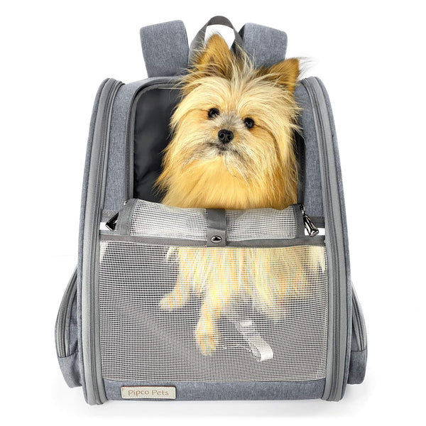 Load image into Gallery viewer, Small fluffy dog sitting inside Pipco Pets Backpack Carrier Australia Grey