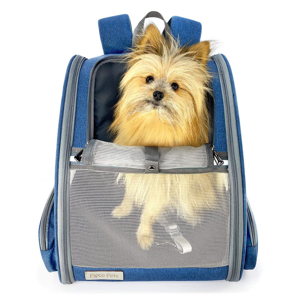 Load image into Gallery viewer, Small fluffy dog sitting inside Pipco Pets Backpack Carrier Australia Navy Blue
