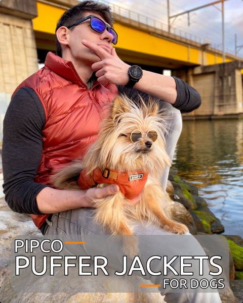 Load and play video in Gallery viewer, Cute dog asks owner to go for a walk outside in the cold, both put on matching puffer jackets before heading out
