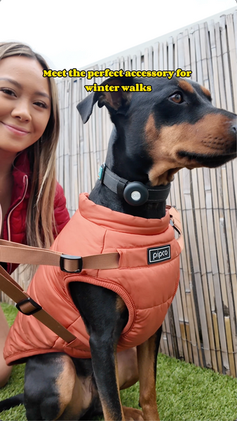 Load and play video in Gallery viewer, Meet the perfect accessory for winter walks