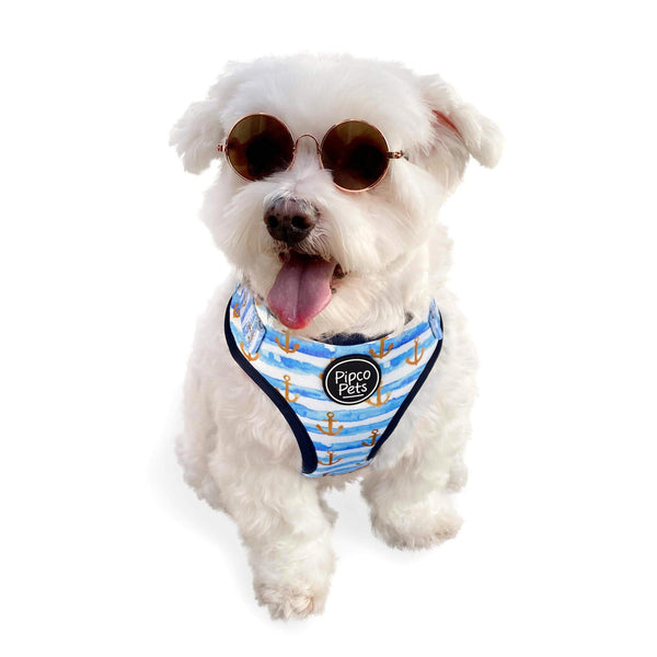Load image into Gallery viewer, Cute dog wearing sunglasses and Pipco Pets adjustable harness with Sailor Pup anchors print pattern in blue