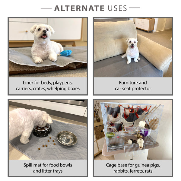 Load image into Gallery viewer, Four images showing Pipco pee pads on a dog bed, on a sofa, under food bowls, and lining the bottom of a rat cage
