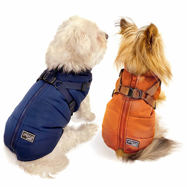 Load image into Gallery viewer, Small dogs modelling orange and navy Pipco winter vests Australia showing built-in harness design