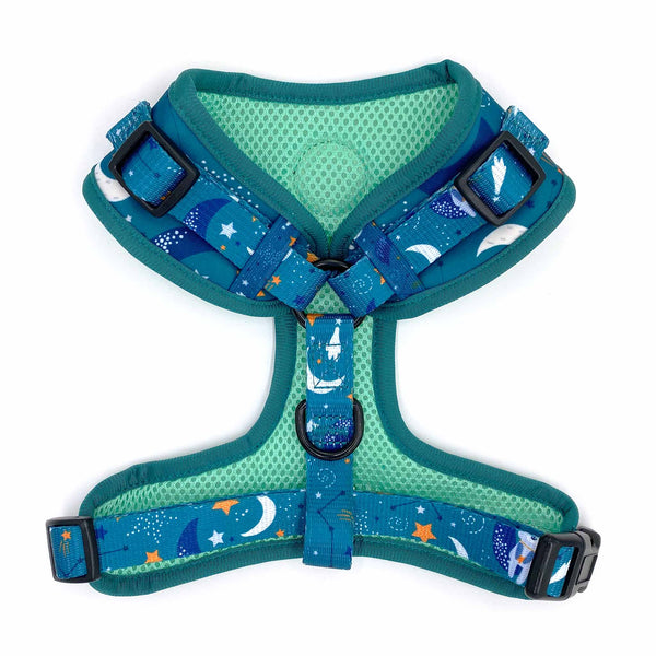 Load image into Gallery viewer, Back view of Pipco Pets adjustable dog harness with Starry Night outer space and stars print pattern in teal