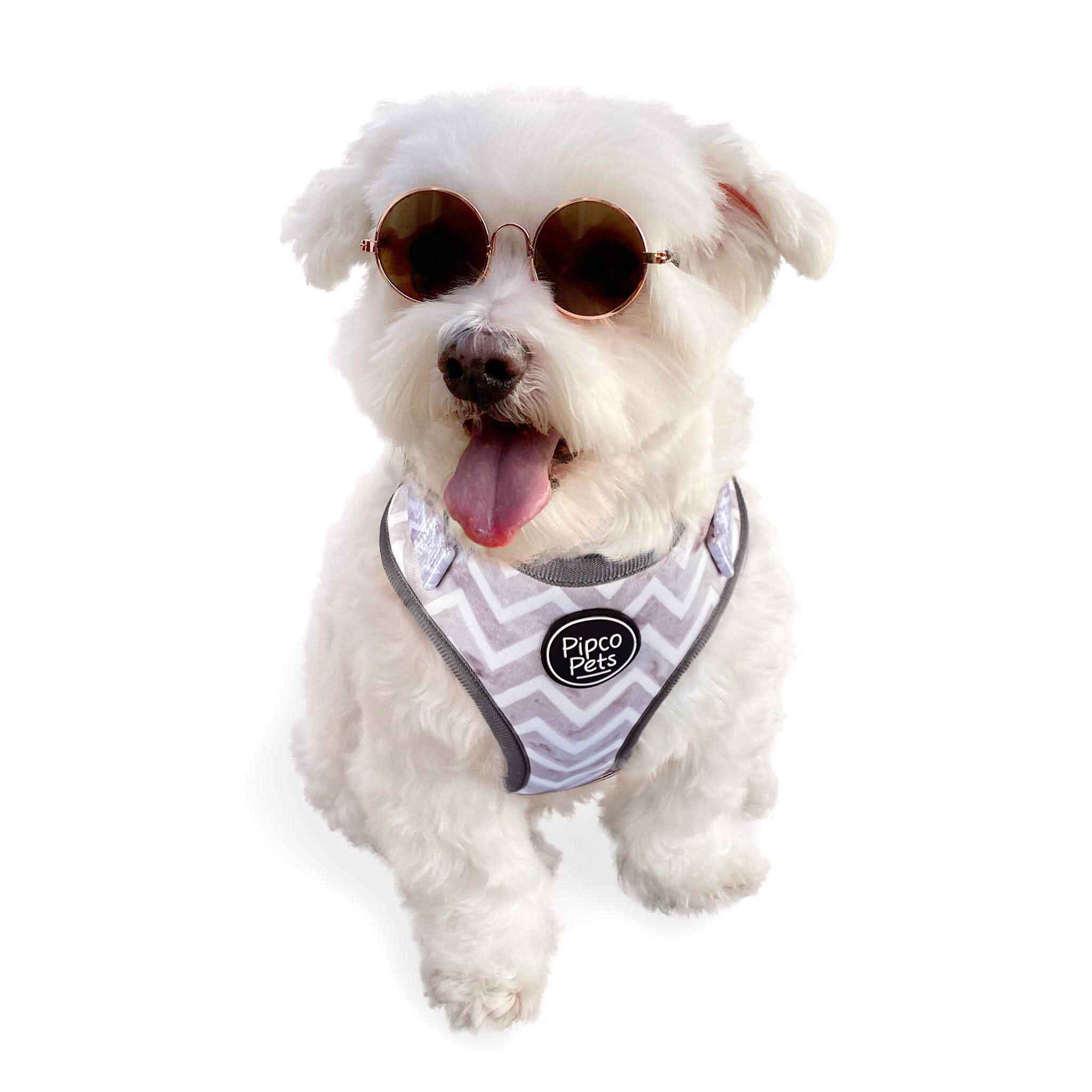 Cute dog wearing sunglasses and Pipco Pets adjustable harness with gray Zig Zags pattern
