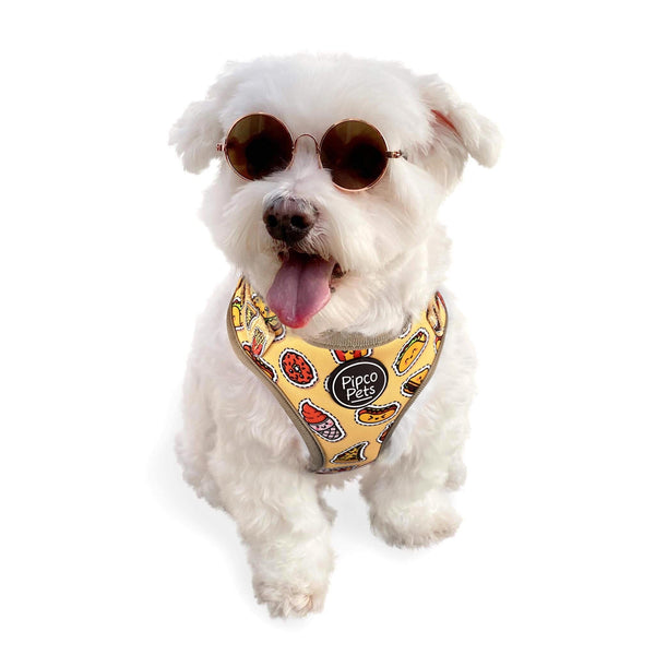 Load image into Gallery viewer, Cute dog wearing sunglasses and Pipco Pets adjustable harness with Snack Pack junk food print pattern in yellow
