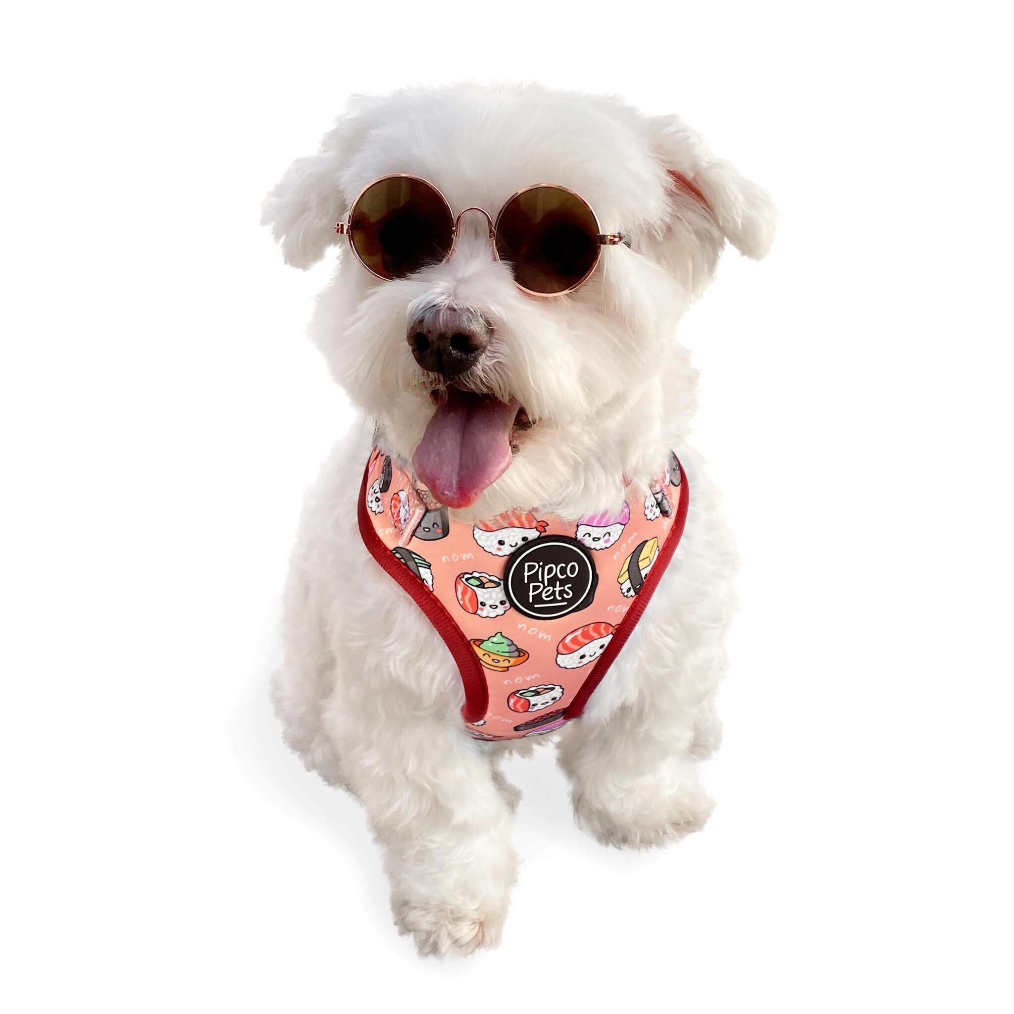 Cute dog wearing sunglasses and Pipco Pets adjustable harness with Sushi Train print pattern in pink