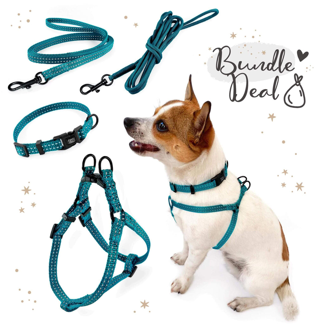 Pipco SuperLite bundle deal in teal including matching lightweight harness, collar, flat lead and rope lead, modelled by small dog