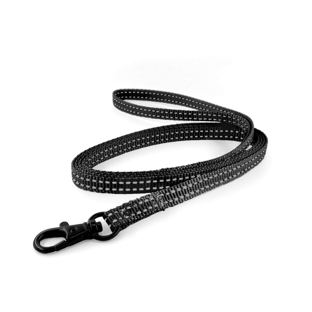 Lightweight Pipco flat lead in black with reflective stitching for small dogs and puppies