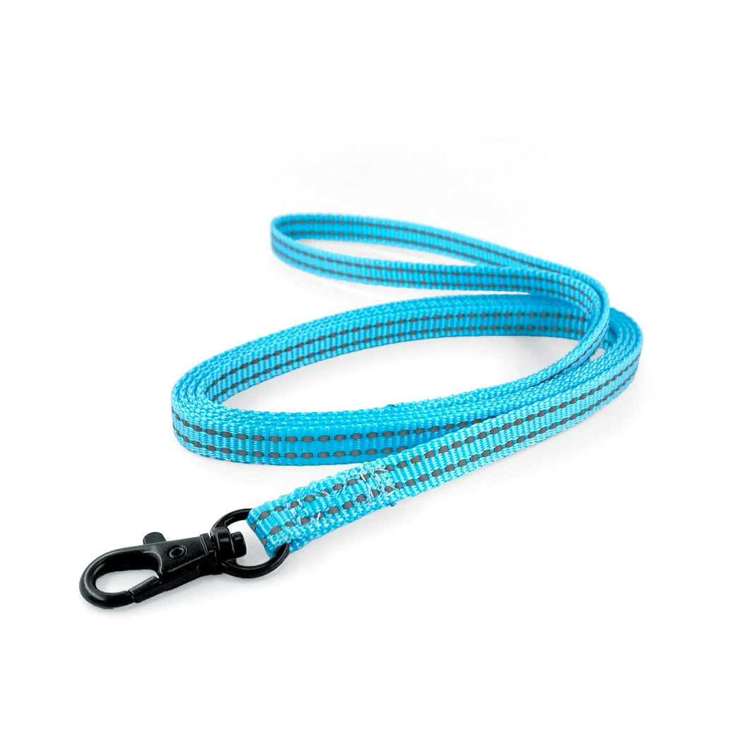 Lightweight Pipco flat lead in blue with reflective stitching for small dogs and puppies