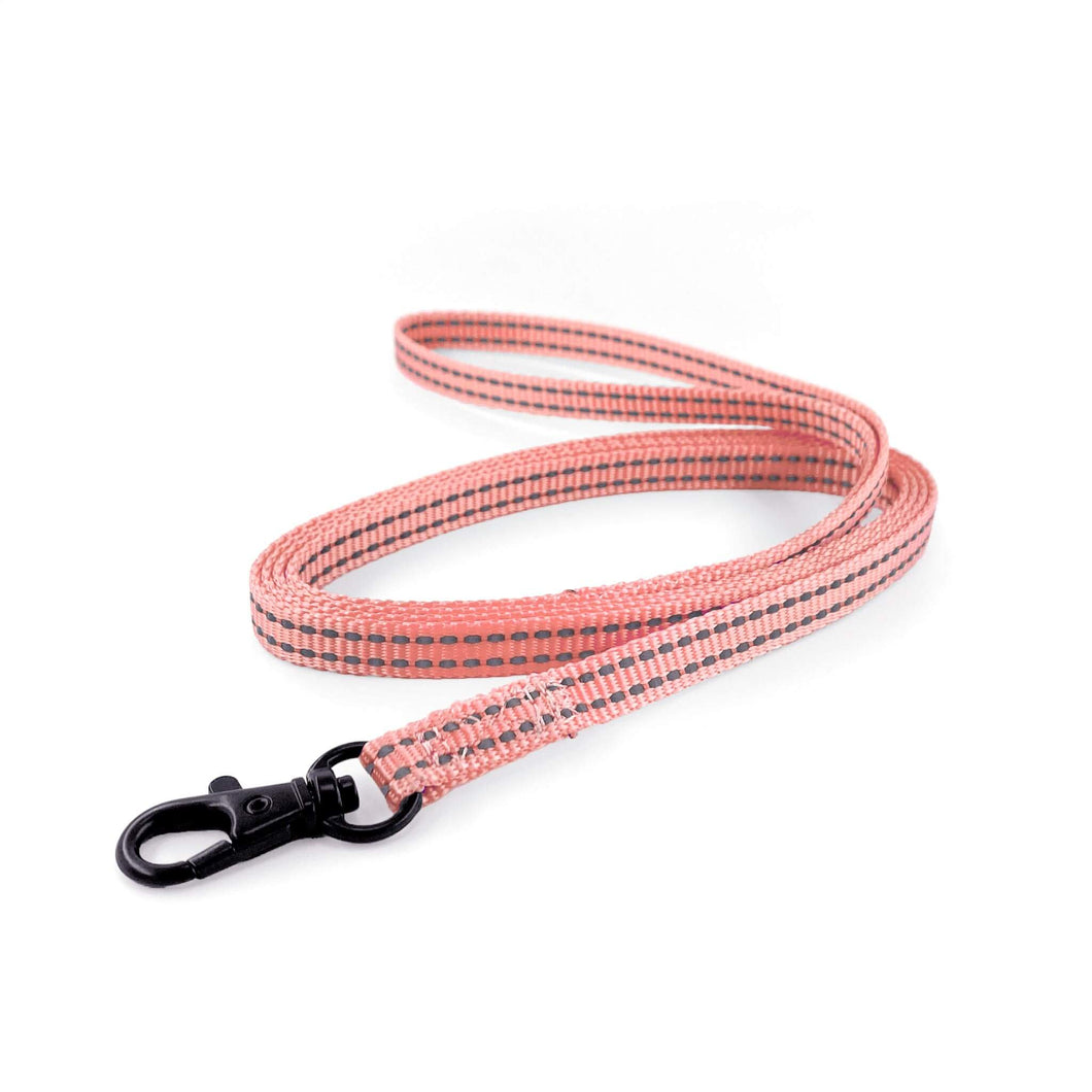 Lightweight Pipco flat lead in pink with reflective stitching for small dogs and puppies