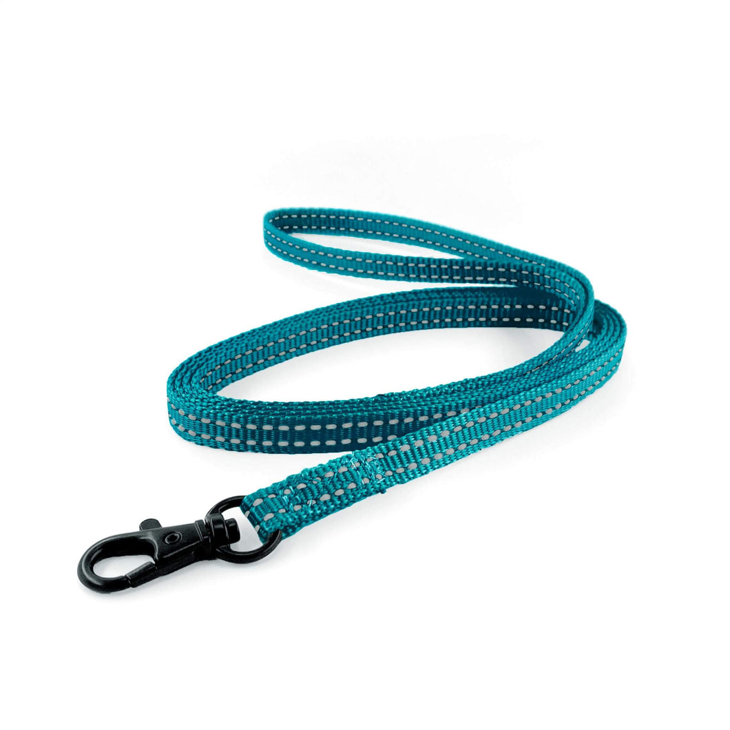 Lightweight Pipco flat lead in teal with reflective stitching for small dogs and puppies