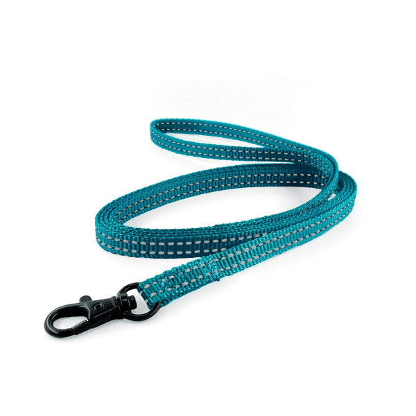 Load image into Gallery viewer, Lightweight Pipco flat lead in teal with reflective stitching for small dogs and puppies

