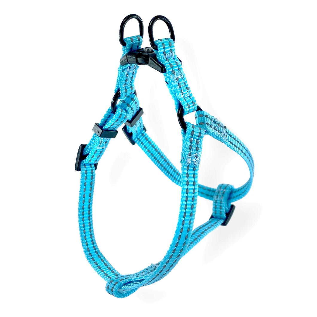 Lightweight Pipco step-in puppy harness in blue with reflective stitching for small dogs