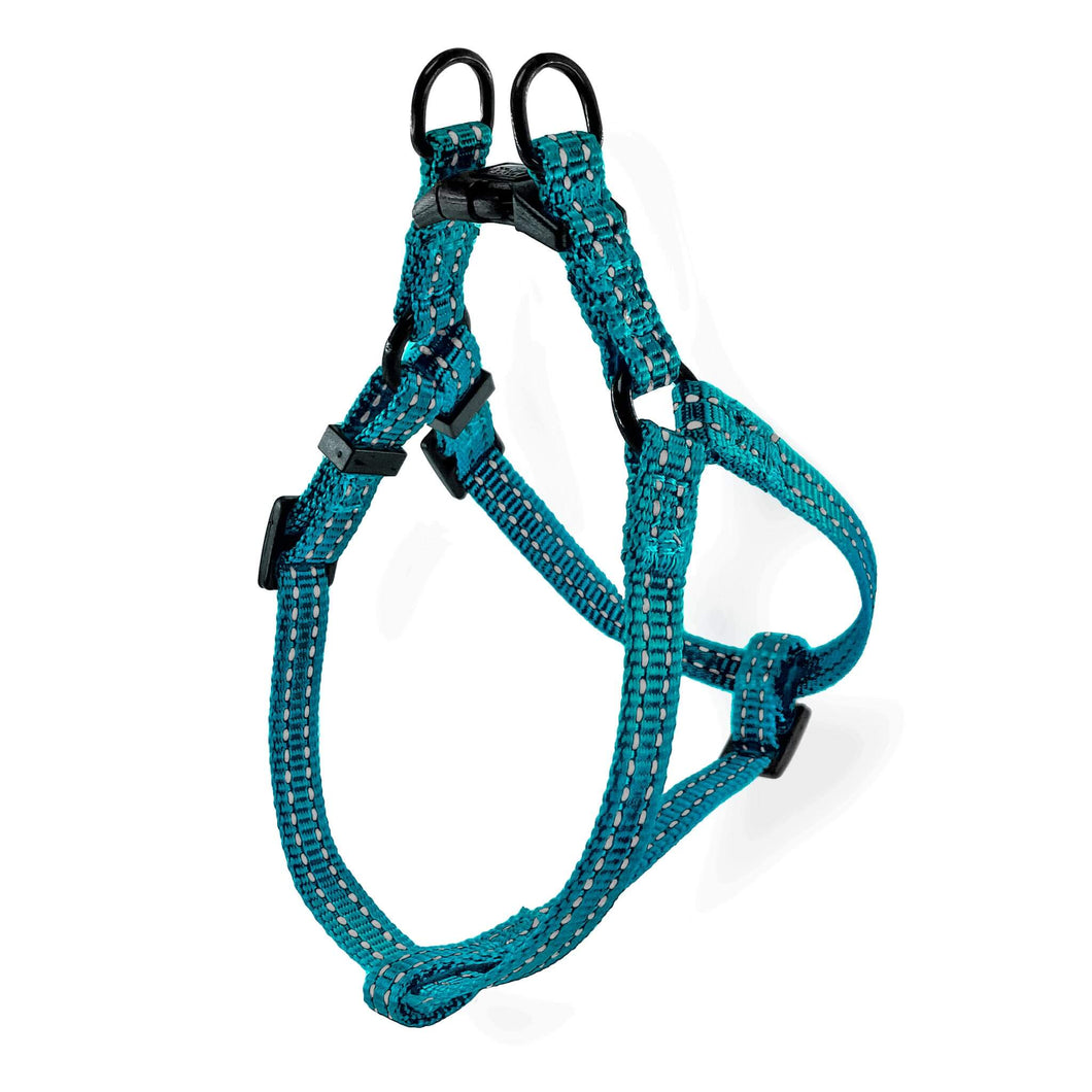 Lightweight Pipco step-in puppy harness in teal with reflective stitching for small dogs