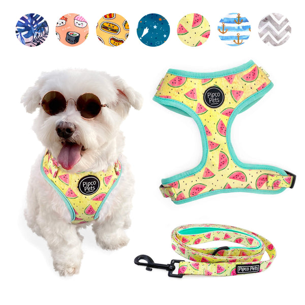 Load image into Gallery viewer, Combo set including Pipco Pets dog harness and leash with matching Summer Melons watermelons print in yellow
