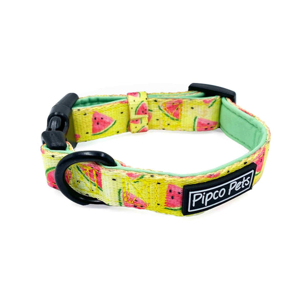 Load image into Gallery viewer, Summer Pipco Pets dog collar with Melons watermelon print pattern in yellow

