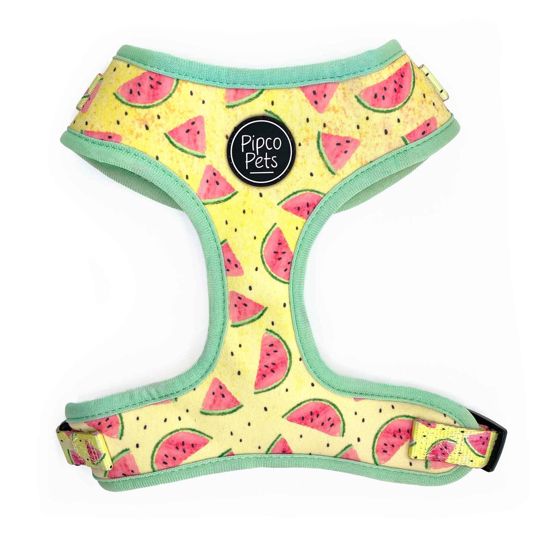 Front view of Pipco Pets adjustable dog harness with Summer Melons watermelon print pattern in yellow