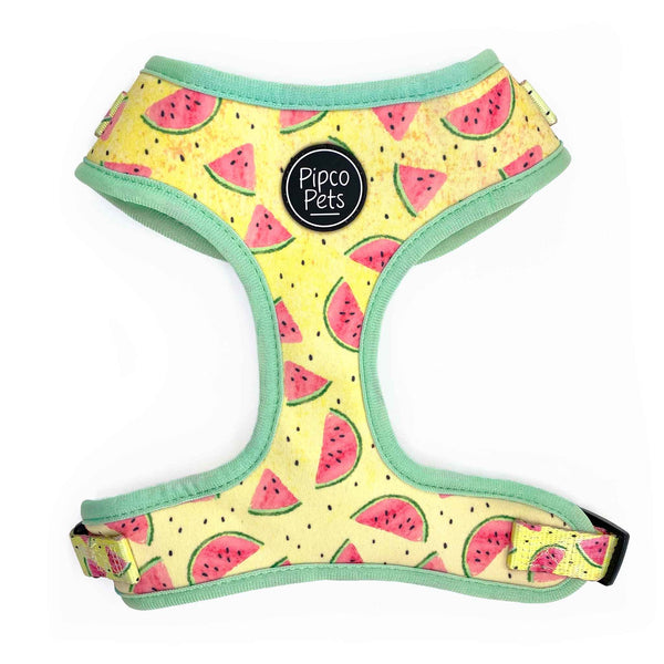 Load image into Gallery viewer, Front view of Pipco Pets adjustable dog harness with Summer Melons watermelon print pattern in yellow
