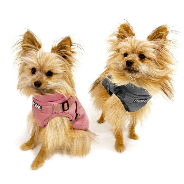 Load image into Gallery viewer, Small dogs modelling pink and grey Pipco winter vests Australia
