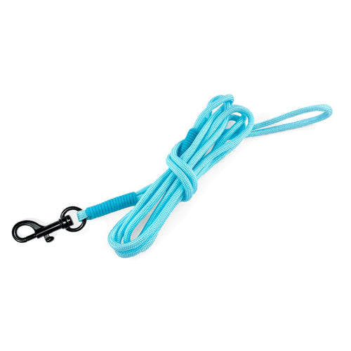 Lightweight Pipco paracord rope lead in blue for small dogs and puppies