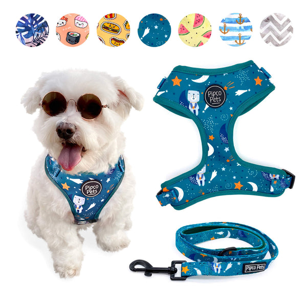 Load image into Gallery viewer, Combo set including Pipco Pets dog harness and leash with matching Starry Night galaxy print in teal green
