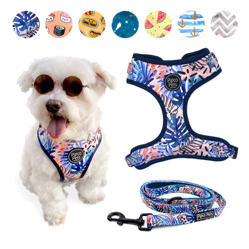 Combo set including Pipco Pets dog harness and leash with matching Tropic Fronds tropical leaves print in blue