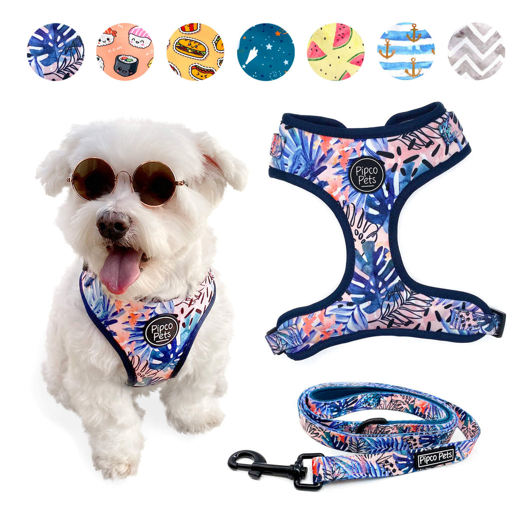 Combo set including Pipco Pets dog harness and leash with matching Tropic Fronds tropical leaves print in blue