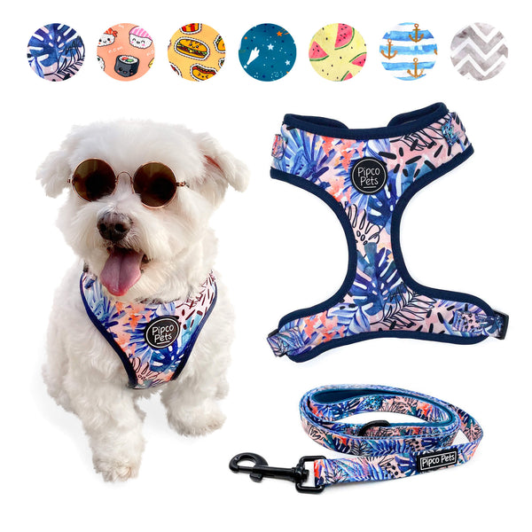 Load image into Gallery viewer, Combo set including Pipco Pets dog harness and leash with matching Tropic Fronds tropical leaves print in blue
