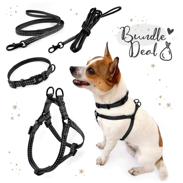 Load image into Gallery viewer, Pipco SuperLite bundle deal in black including matching lightweight harness, collar, flat lead and rope lead, modelled by small dog
