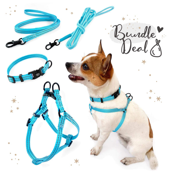 Load image into Gallery viewer, Pipco SuperLite bundle deal in blue including matching lightweight harness, collar, flat lead and rope lead, modelled by small dog
