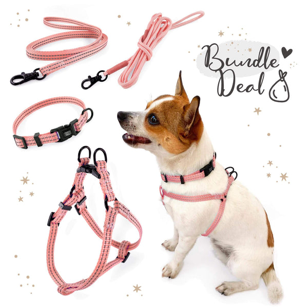Load image into Gallery viewer, Pipco SuperLite bundle deal in pink including matching lightweight harness, collar, flat lead and rope lead, modelled by small dog
