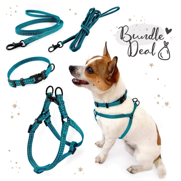 Load image into Gallery viewer, Pipco SuperLite bundle deal in teal including matching lightweight harness, collar, flat lead and rope lead, modelled by small dog
