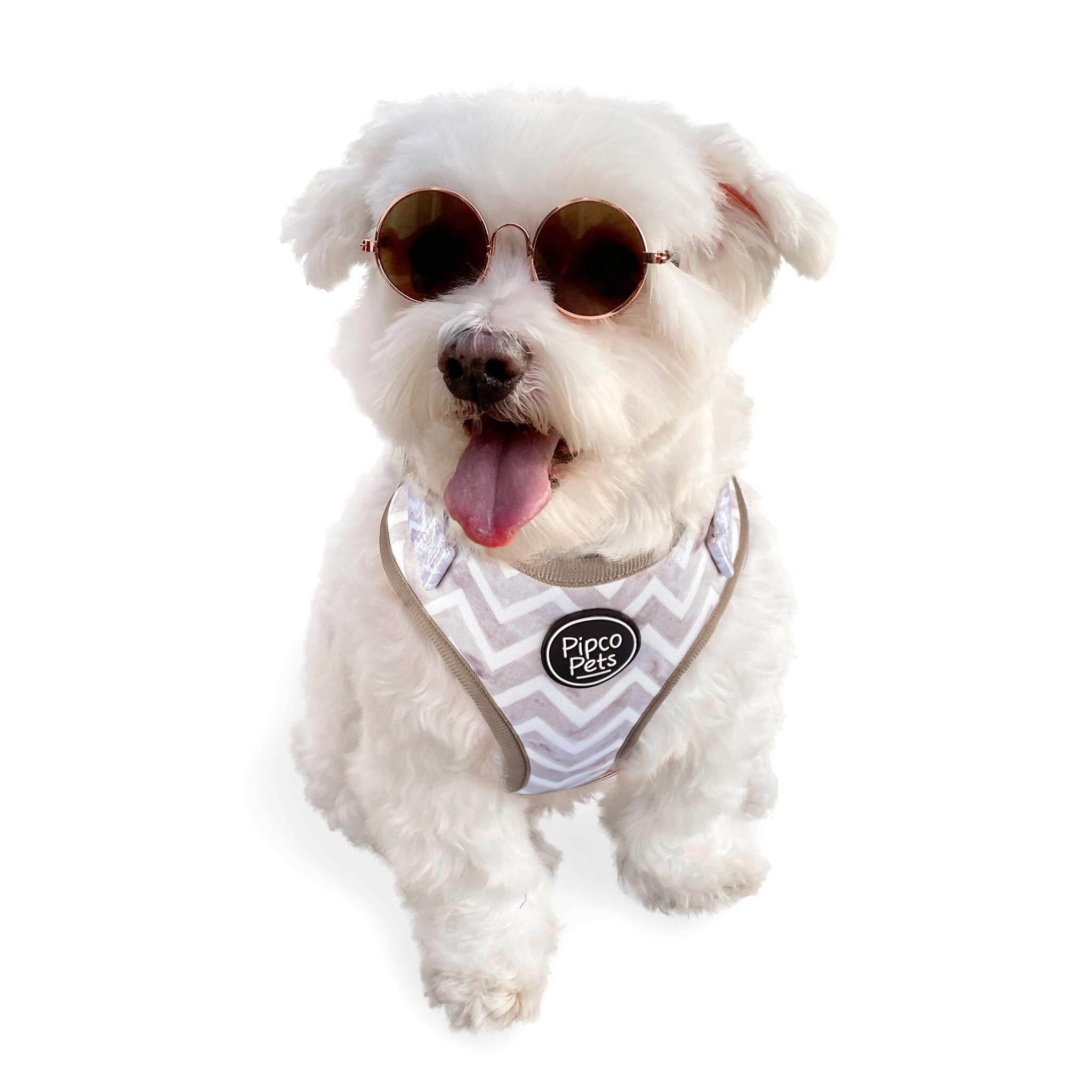 Cute dog wearing sunglasses and Pipco Pets adjustable harness with Gettin' Ziggy zig zags print pattern in grey