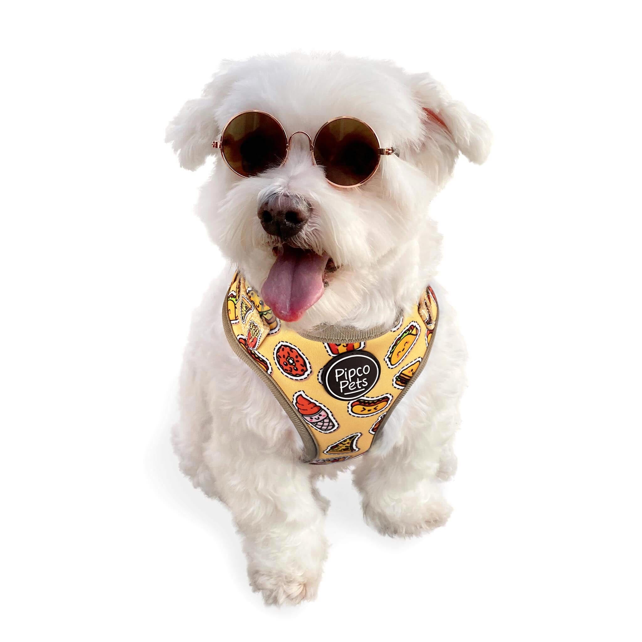 Cute dog wearing sunglasses and Pipco Pets adjustable harness with Snack Pack junk food print pattern in yellow
